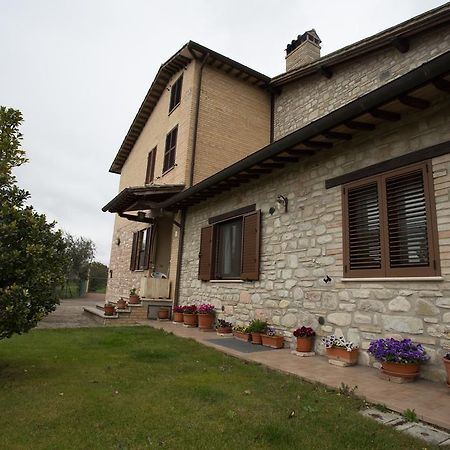 Assisana Affittacamere Santa Maria Degli Angeli  Exterior photo